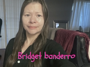 Bridget_banderro