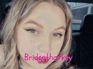 Bridgetharkey