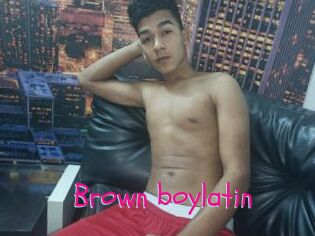 Brown_boylatin