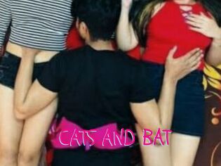 CATS_AND_BAT