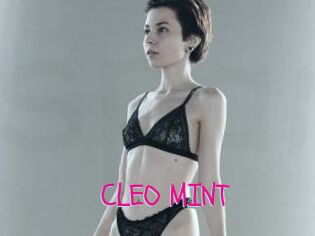 CLEO_MINT