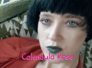 Calendula_Rose