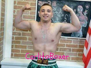 CarlitoBoxer