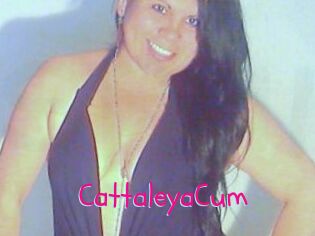 CattaleyaCum