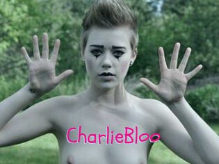 CharlieBloo