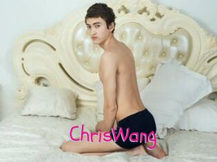 ChrisWang Spanking Sarah