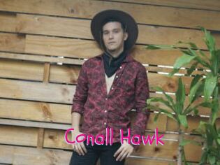 Conall_Hawk