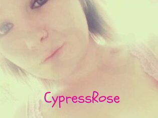 Cypress_Rose