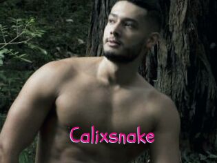Calixsnake