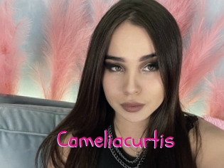 Cameliacurtis
