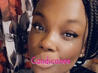 Candicanee