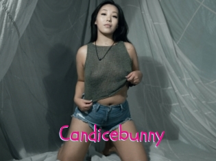 Candicebunny