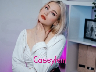 caseylein Spanking Sarah