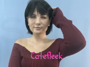 Catefleek