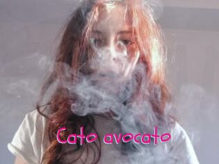 Cato_avocato