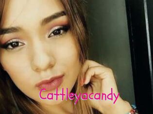 cattleyacandy Spanking Sarah