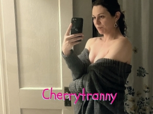 cherrytranny Spanking Sarah