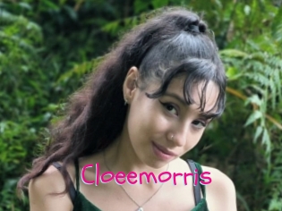 Cloeemorris