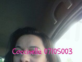 Coccinella-07105003