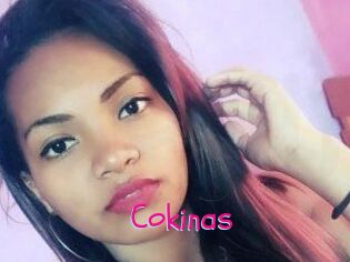Cokinas