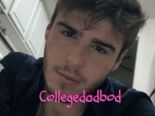 Collegedadbod