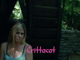 Crittacat