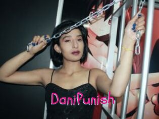DaniPunish
