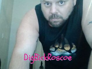 DigBickRoscoe