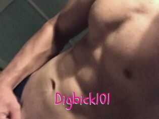Digbick101