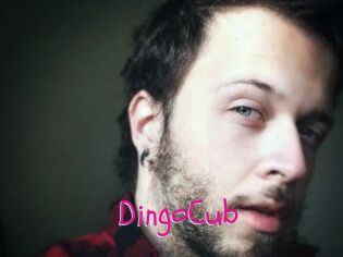 DingoCub