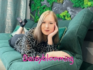 Daisyblooming