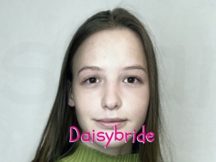 Daisybride