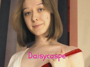 Daisycaspe