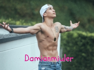 Damianmiuler
