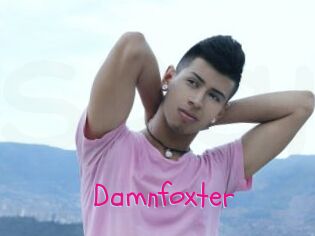 Damnfoxter