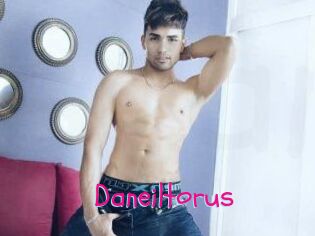 Daneil_torus