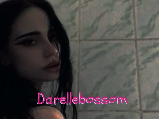 Darellebossom