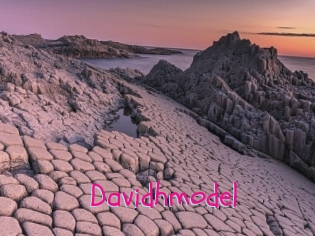 Davidhmodel