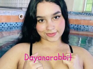 Dayanarabbit