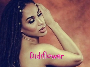 Didiflower