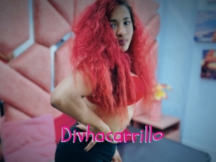 Divhacarrillo