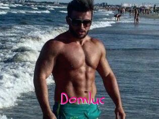 Domluc