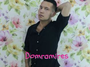 Domramires