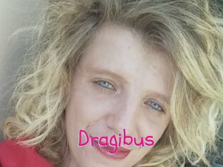 Dragibus