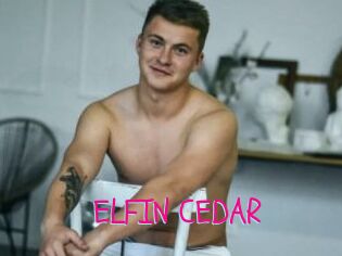 ELFIN_CEDAR