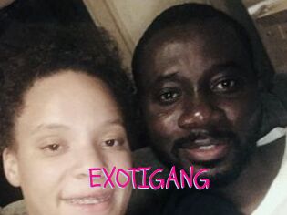 EXOTIGANG