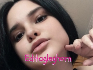 Editagleghorn