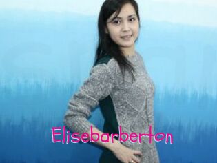 Elisebarberton