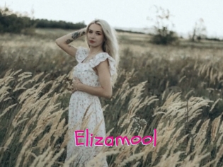 Elizamool