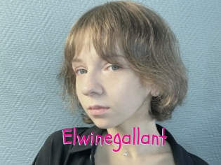 Elwinegallant